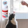 Cat Nip Bubbles view 2