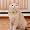 Flower Cat Collar with Bell view 4
