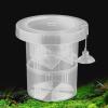 Fish Breeding Box Aquarium Breeding Container view 3