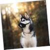 HOLIDYOYO Adjustable Breathable Dog Muzzle view 4