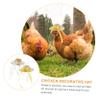 Abaodam 2-Piece Adjustable Chicken Hats for Chickens and Parrots, Decorative Portable Party and Photo Accessories view 3