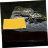 ibasenice 10-Pack Yellow Fine-Pore Sponges for Aquariums and Reptile Terrariums, Durable and Machine-Washable view 4