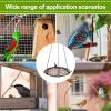 Outdoor Bird Bath, Waterer and Feeder view 4