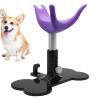 Generico Dog Grooming Stand | Shower Ladder for Puppies, Height-Adjustable Bench for Grooming and Trimming Dog Fur view 1