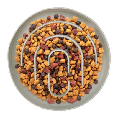 Slow-Feeder Cat Bowl for Dry Food, Non-Slip Silicone Bowl for Healthy Eating, Small-Breed Pets, Indoor and Outdoor Use
