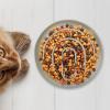 Slow-Feeder Cat Bowl for Dry Food, Non-Slip Silicone Bowl for Healthy Eating, Small-Breed Pets, Indoor and Outdoor Use view 2