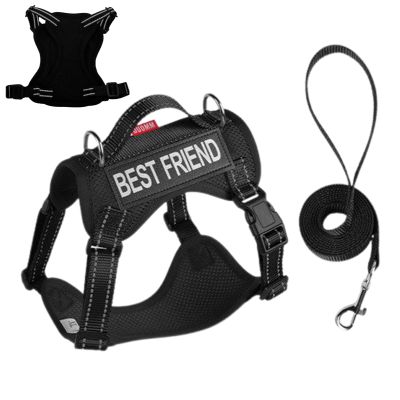 Cat Harness with Safety Features