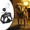 Cat Harness with Safety Features view 3