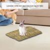 Generic Grass Mat for Cats view 2