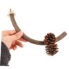 ifundom Natural Wood Bird Stand, Adjustable Perch for Parrots and Small Birds view 2