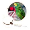 ifundom Natural Wood Bird Stand, Adjustable Perch for Parrots and Small Birds view 4
