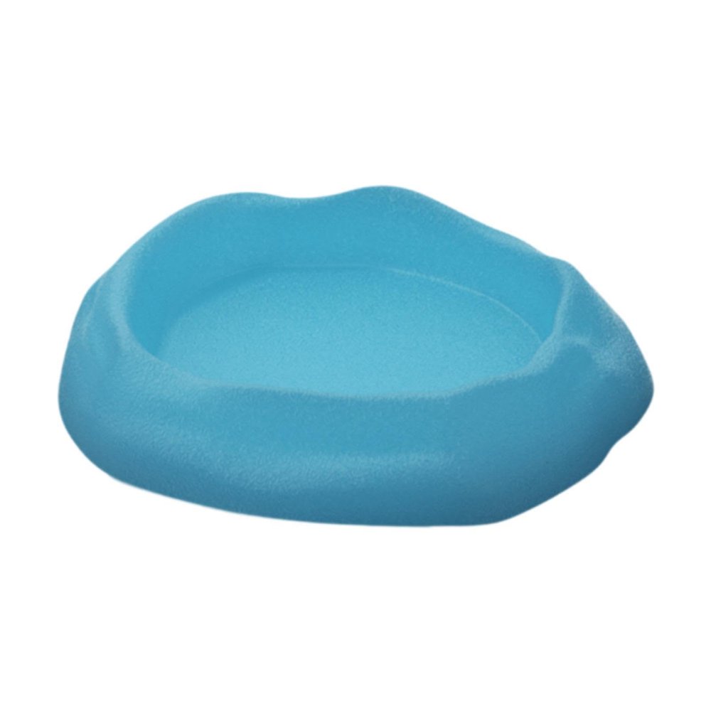 Gralara Reptile Water Bowl in Terrarium Design