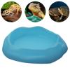 Gralara Reptile Water Bowl in Terrarium Design view 2