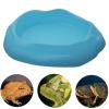 Gralara Reptile Water Bowl in Terrarium Design view 3