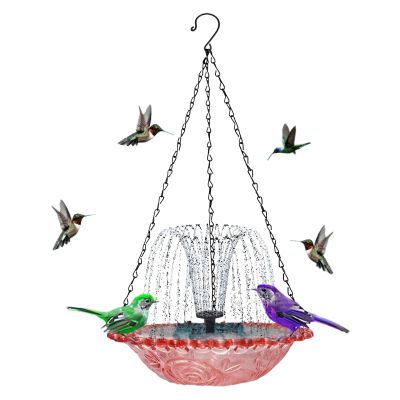 Solar Bird Bath with Bird Waterer and Feeder