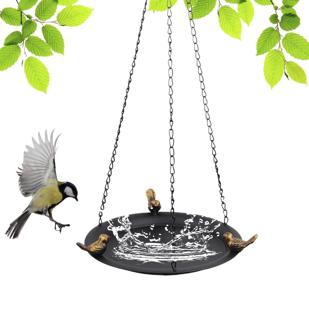 Outdoor Bird Bath and Feeder with Bathing Area