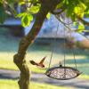 Outdoor Bird Bath and Feeder with Bathing Area view 2
