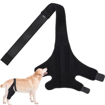 Dog Leg Support | Leg Protection for Dogs | Breathable Leg Support