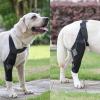 Dog Leg Support | Leg Protection for Dogs | Breathable Leg Support view 2