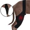 Dog Leg Support | Leg Protection for Dogs | Breathable Leg Support view 3