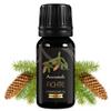 Organic Fir Needle Oil 10 ml – 100% Natural Essential Oil from India for Diffusers, Sauna Infusions & Aromatherapy, Certified Oil for Sauna & Massage view 1
