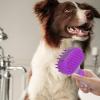 Steam Brush for Cats and Pets view 4