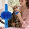 Cat Brush with Adjustable Silicone Strap view 3