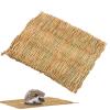 Aizuoni Dog and Cat Bed Cushion, Natural and Comfortable Sleeping Mat view 1