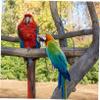 ifundom Parrot Stand and Swing view 4