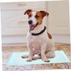 VICASKY 20-Pack Absorbent Dog Training Pads for Small Dogs, Puppies, and Cats view 4