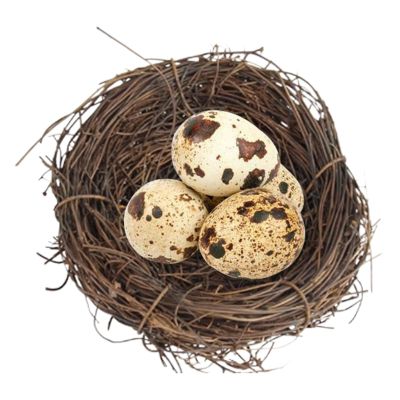 Generic Bird Nest for Cage