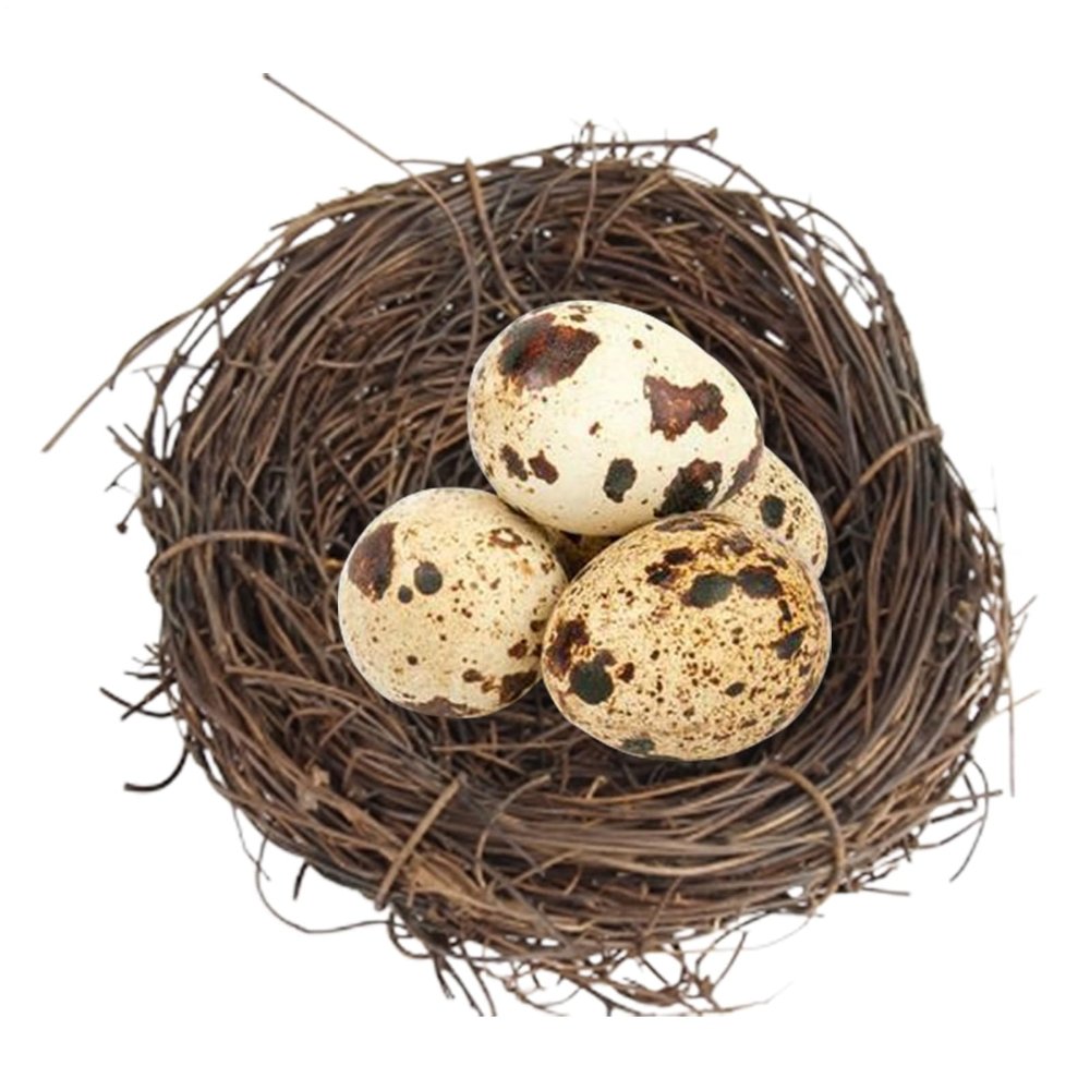 Generic Bird Nest for Cage