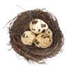 Nankoyal Bird Nest for Cages view 1