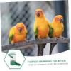 Garnick Bird Water Dispenser for Parrots and Pigeons view 4