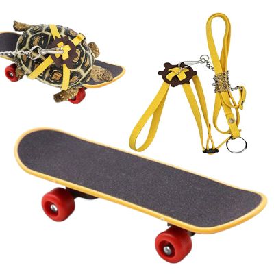 Turtle Leash and Skateboard Set, Adjustable Reptile Trainer