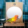 Bird Mirror - Swing with Mirror and Perches view 3