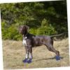 PERSELOSO Dog Shoes for Dogs 4 Pack Neoprene Paw Protection Blue All-Weather view 3