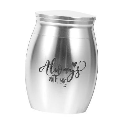 FUTUREORYY Pet Cremation Urn for Dogs and Cats