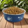 Iouyjiu Stainless Steel Cat Bowl view 3