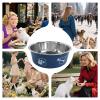 Iouyjiu Stainless Steel Cat Bowl view 4
