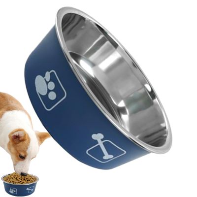 Stainless Steel Cat Bowl with Large Capacity