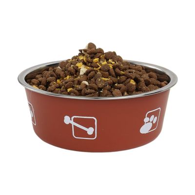 Godpqiui Stainless Steel Cat Bowl