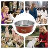 Leak-Proof Drinking Bowl for Dogs, Printed Stainless Steel Cat Bowl view 4