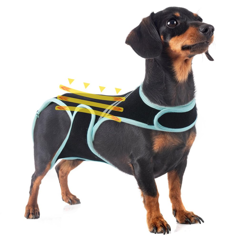 Dog Back Brace for Arthritis, IVDD, and Spinal Support (S)