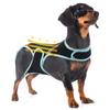 Dog Back Brace for Arthritis, IVDD, and Spinal Support (S) view 1