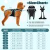 Dog Back Brace for Arthritis, IVDD, and Spinal Support (S) view 2