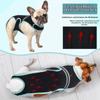 Dog Back Brace for Arthritis, IVDD, and Spinal Support (S) view 3