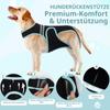 Dog Back Brace for Arthritis, IVDD, and Spinal Support (S) view 4