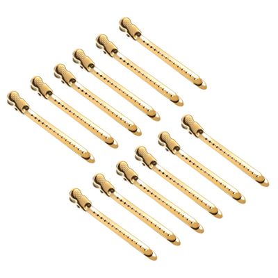 Gold Stainless Steel Hair Clips, 12-Piece Set for Salons