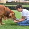 Collapsible Dog Bowl with Carabiner Clip view 3